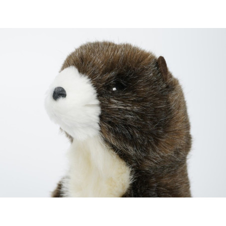  Animaux de la forêt Miniature marmotte 20 cm peluche réaliste Piutre 4267