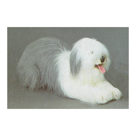 Animaux-Bois-Animaux-Bronzes propose Chien berger old english 100 cm peluche animaux allongés réaliste Piutre 3292