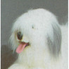 Animaux-Bois-Animaux-Bronzes propose Chien berger old english 100 cm peluche animaux allongés réaliste Piutre 3292