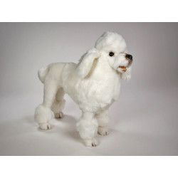 Animaux-Bois-Animaux-Bronzes propose Chien caniche debout poodle blanc 60 cm  réaliste Piutre 0257 (2)