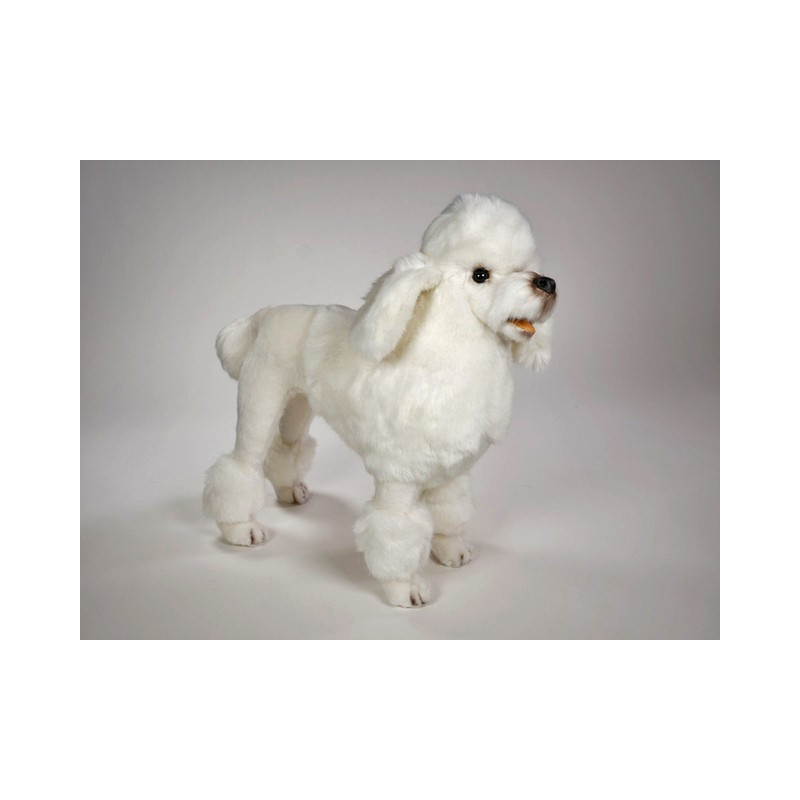 Animaux-Bois-Animaux-Bronzes propose Chien caniche debout poodle blanc 60 cm  réaliste Piutre 0257