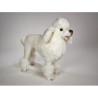 Animaux-Bois-Animaux-Bronzes propose Chien caniche debout poodle blanc 60 cm  réaliste Piutre 0257