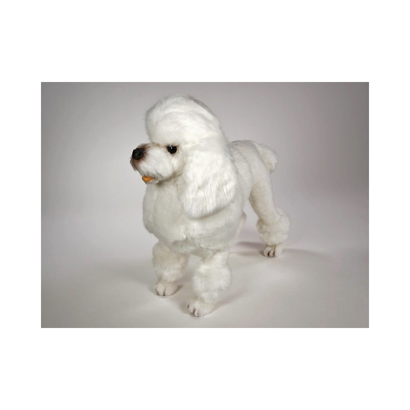 Animaux-Bois-Animaux-Bronzes propose Chien caniche debout poodle blanc 60 cm  réaliste Piutre 0257