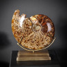 Animaux marins Ammonite avec bouche découpée pm Curiosité PUFO265-5