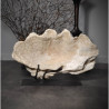 Bénitier fossile (bivalve tridacna) Objet de Curiosité -PUFO261