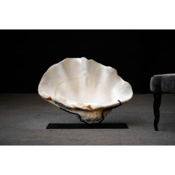 Animaux marins Bénitier tridacna gigas sur support fer Curiosité PU329