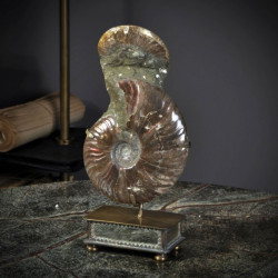 Animaux marins Double ammonite opale rouge Curiosité PUFO230-1