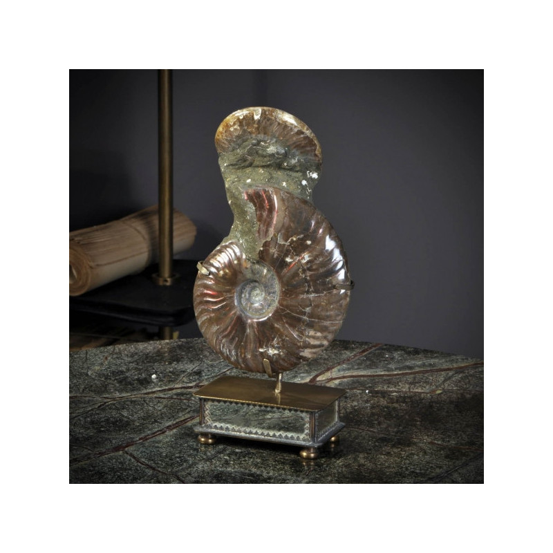 Animaux marins Double ammonite opale rouge Curiosité PUFO230-1