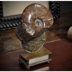 Animaux marins Double ammonite opale rouge Curiosité PUFO230-2
