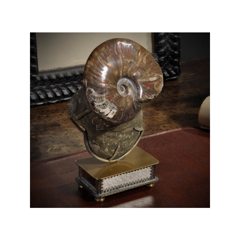 Animaux marins Double ammonite opale rouge Curiosité PUFO230-2
