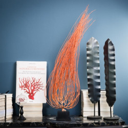Animaux marins Gorgone flamme mm sur socle bois Curiosité AN231