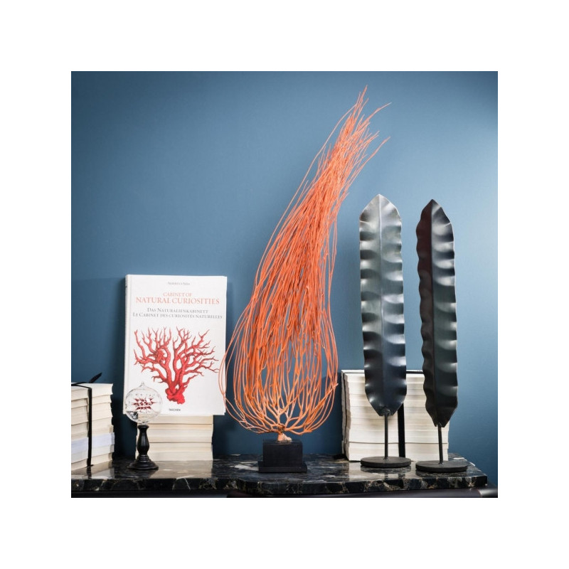 Animaux marins Gorgone flamme mm sur socle bois Curiosité AN231
