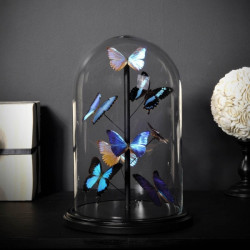 Animaux marins Papillons bleus morpho (8) Curiosité IN076