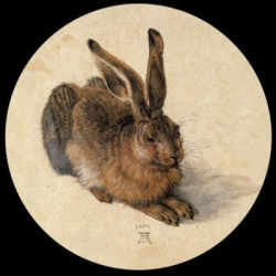 Presse Papier duerer hase Parastone -PDUR1