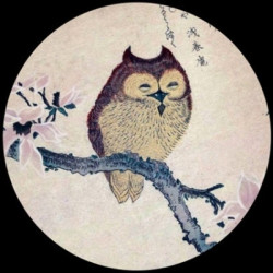 Presse Papier japanese owl Parastone -PJAP1