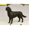Animaux-Bois-Animaux-Bronzes propose Chien Retriever noir figurine animaux LP8275