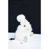 Animaux de la ferme Peluche coin coin pompon - 18 cm -CC7015