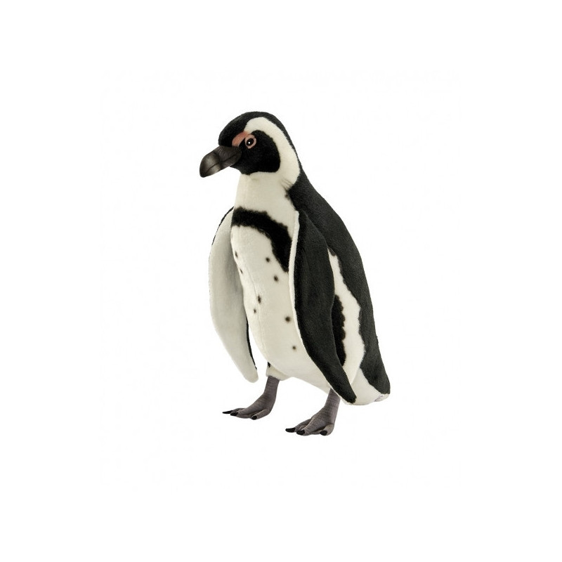 Décoration OiseauxManchot du cap 50cm peluche animalière -6978 Anima