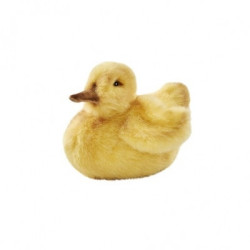 Animaux de la ferme Caneton 14cml peluche animalière -3720
