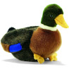 Anima - Peluche colvert 32 cm -2100