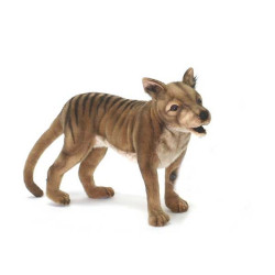 Félin Tigre de tasmanie 50cml peluche animalière -5169