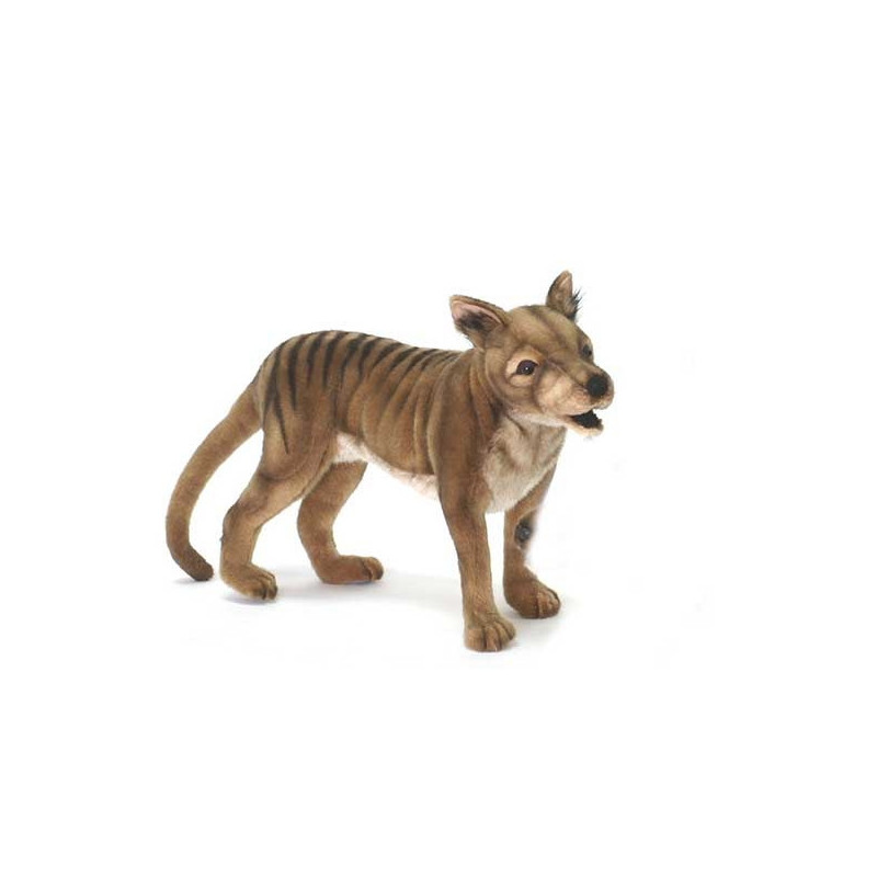 Félin Tigre de tasmanie 50cml peluche animalière -5169