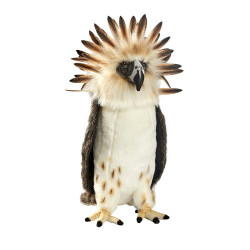 Décoration OiseauxAigle des philippines oiseau 30cmh peluche animalière -7368 Anima