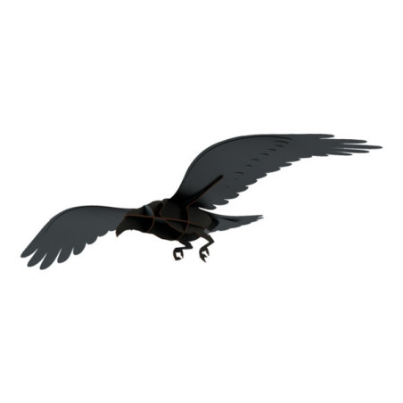 corbeau noir galerie de portraits adam Ibride
