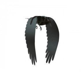 corbeau noir galerie de portraits karl Ibride
