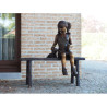 Décors Animaux en Bronze Statue bronze fille sur un banc -B1381