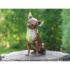 Statuette chihauhau bronze -AN9158BR-B