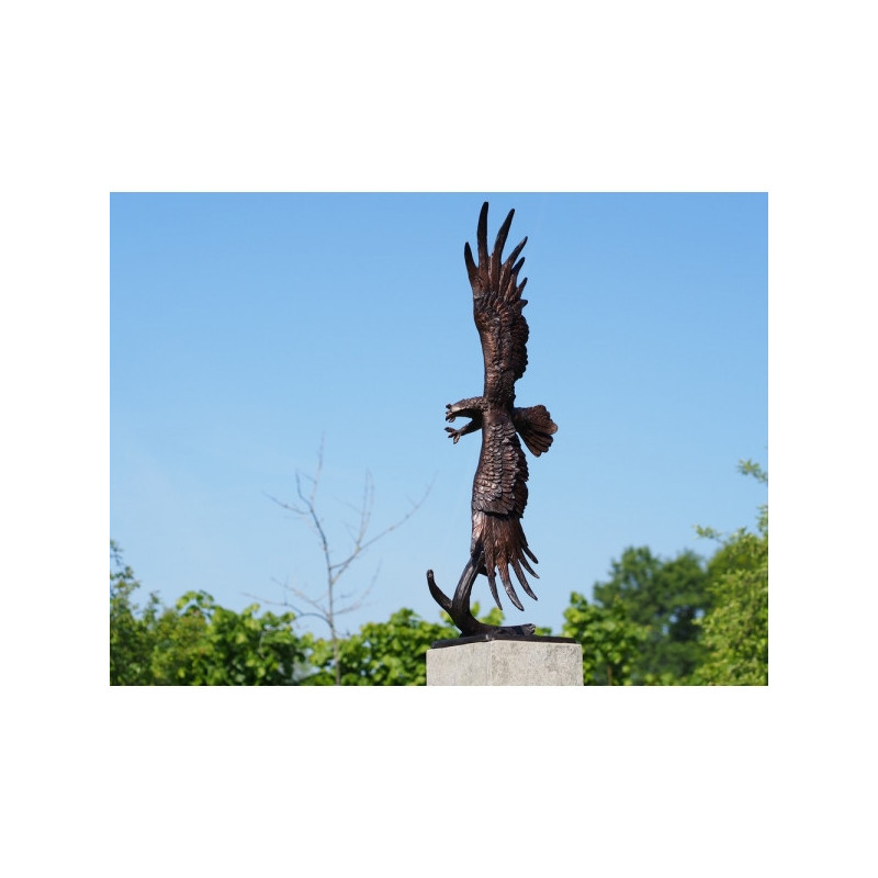 Décors Animaux en Bronze Statue bronze aigle en vol -B56606