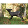 Décors Animaux en Bronze Statue bronze bébé cerf -B47238