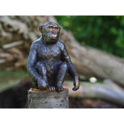 Décors Animaux en Bronze Statuette chimpanzé bronze -AN1331BR-B (2)
