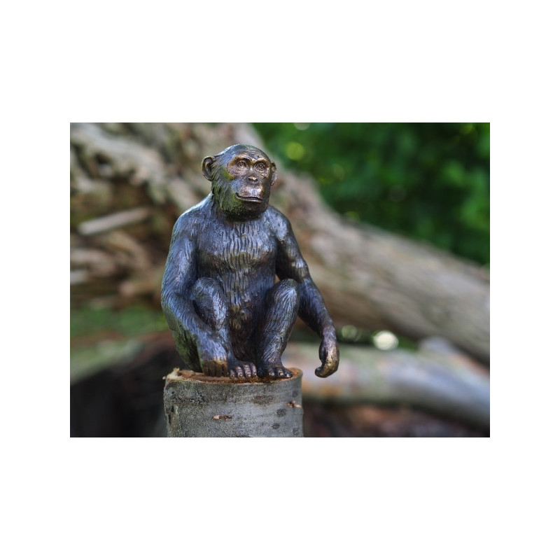 Décors Animaux en Bronze Statuette chimpanzé bronze -AN1331BR-B