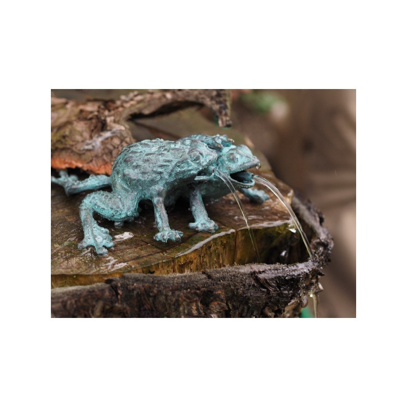 Décors Animaux en Bronze Statuette fontaine à 2 grenouilles bronze -AN13010BR-V-F