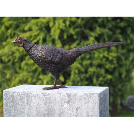 Décors Animaux en Bronze Statuette faisan bronze -AN1329BR-B