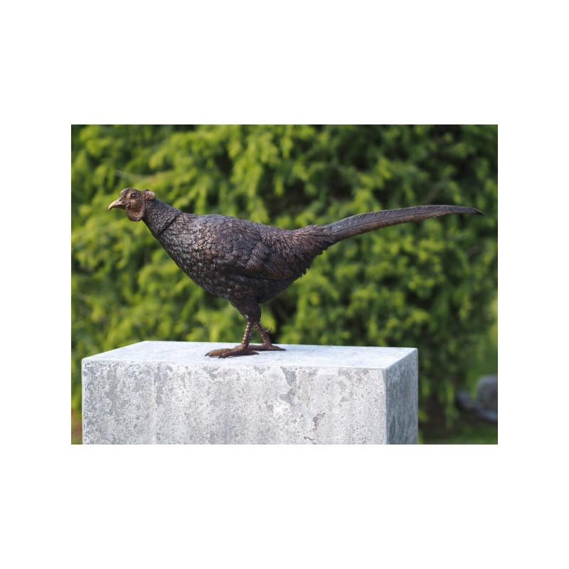 Statuette faisan bronze -AN1329BR-B