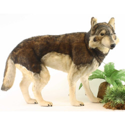 Location automate loup à 4 pattes 78cmh/100cml Anima -L0143 (2)