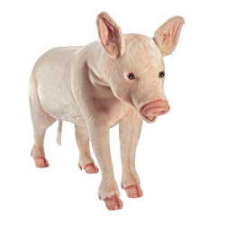 Location automate cochon 106cml Anima -L0172