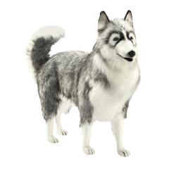 Location automate husky 94cml Anima -L0323