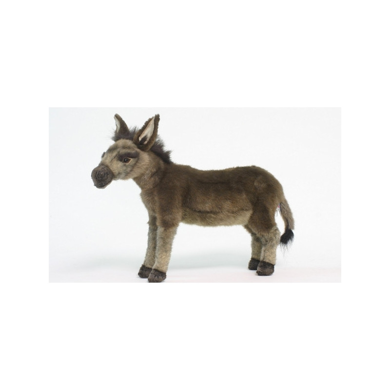 Automate vache -0371