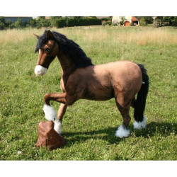 Location automate cheval 140cmh/180cml Anima -L0254