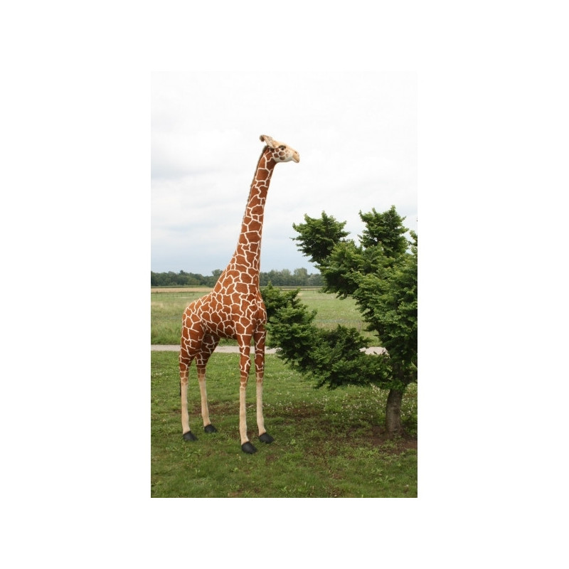 Location automate girafe 280cmh/160cml Anima -L0249
