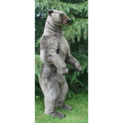 Location automate grizzly dressé 15ocmh/55/73cm Anima -L0167