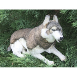 Location automate loup couché 48cmh/100cml Anima -L0281