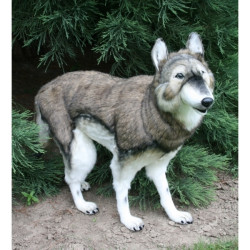Location automate loup à 4 pattes 78cmh/100cml Anima -L0143