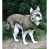 Location automate loup à 4 pattes 78cmh/100cml Anima -L0143