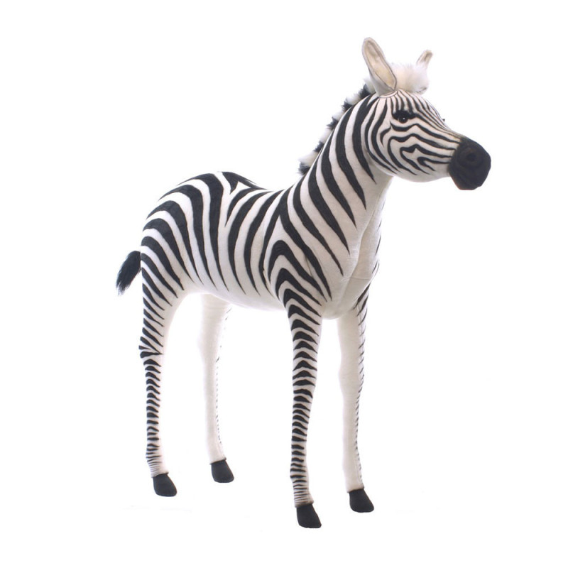 Location automate zebre 130cmh Anima -L0234