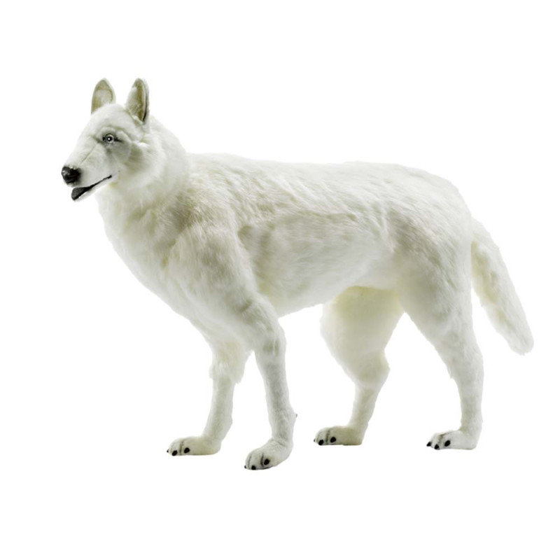 Location automate loup blanc à 4 pattes 78cmh/100cml Anima -L0365